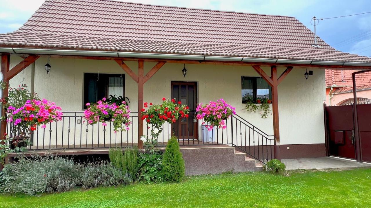 Siebenburger Haus Villa Sibiu Exterior photo