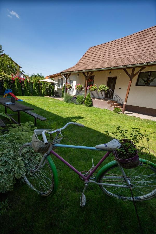 Siebenbuerger Haus Villa Sibiu Exterior photo